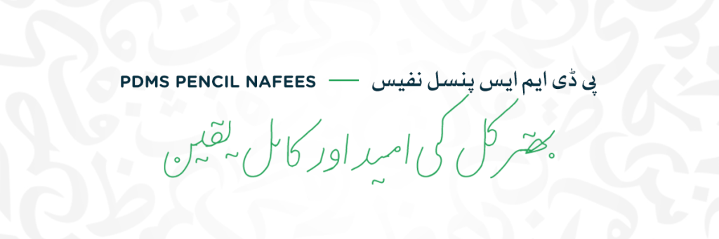 PDMS Pencil Nafees